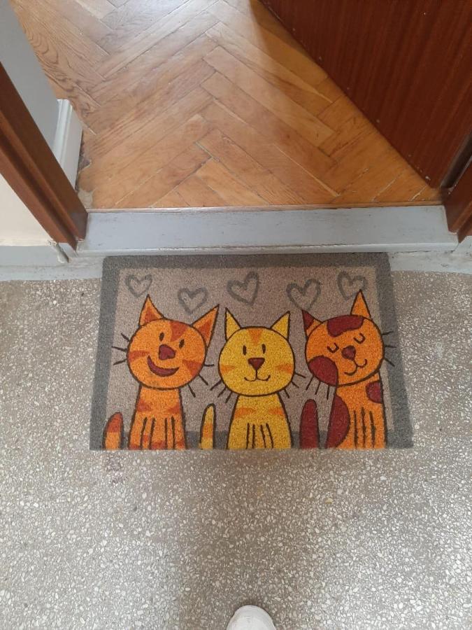 Apartament Koci Leb Torun Luaran gambar